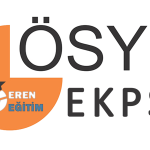 Otizmde Ailelere Yol Haritası